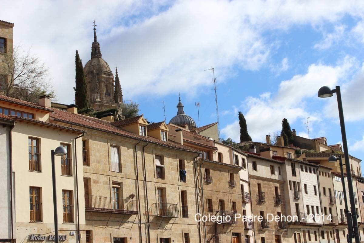 2014 03 22 SALAMANCA RIBERA DEL PUENTE (1)
